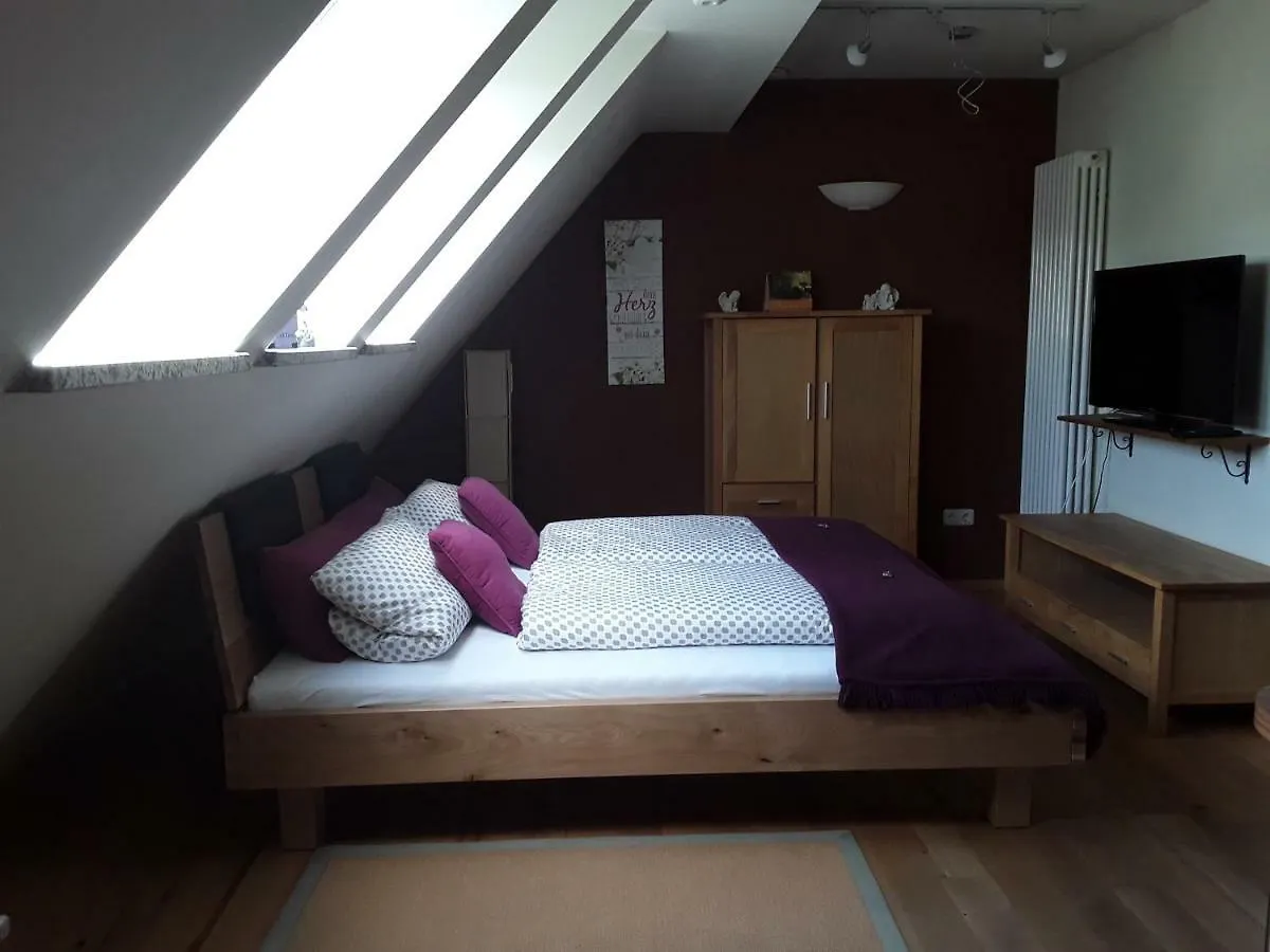 Sweet Home Suite Hallerndorf 0*,  Germany